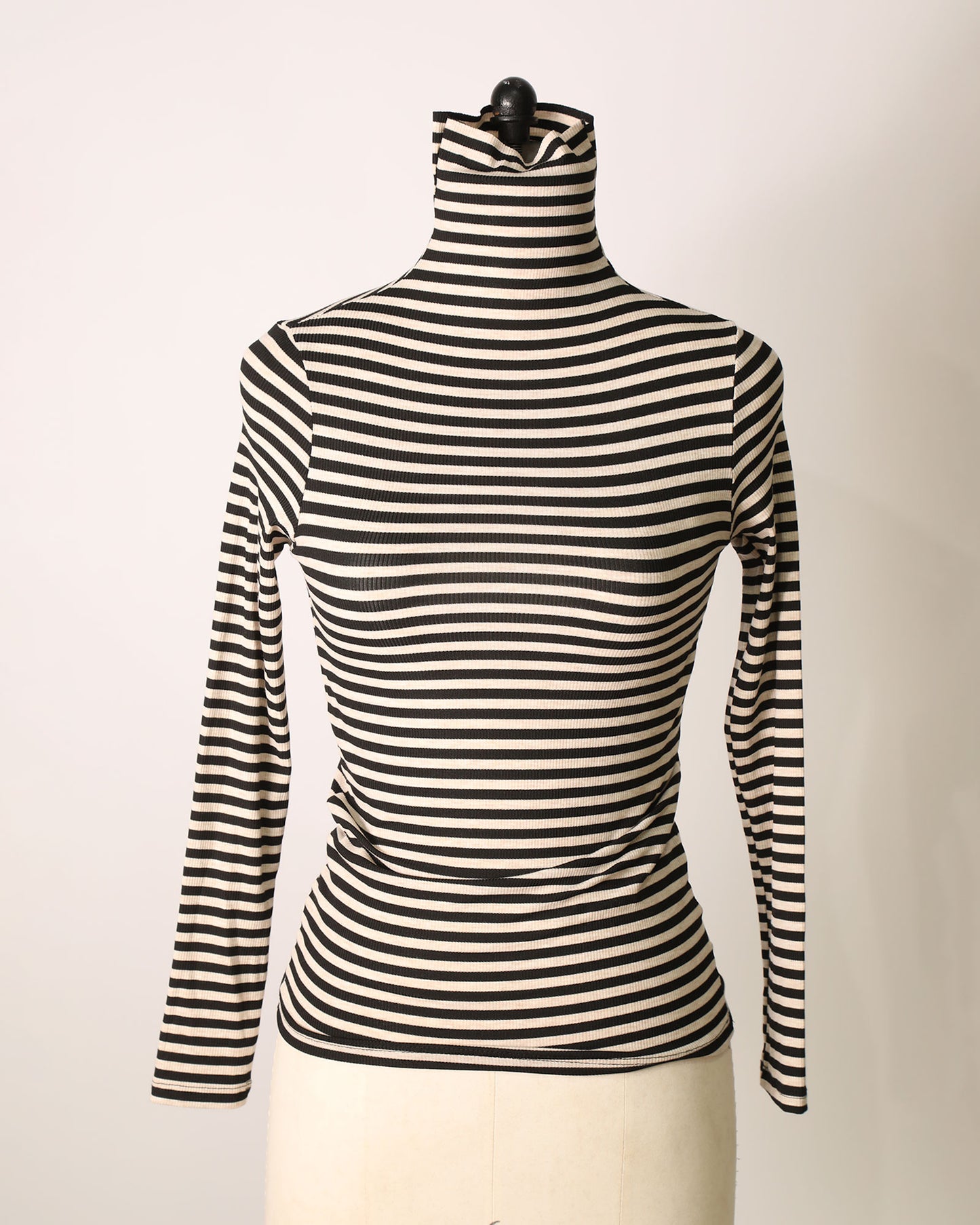 Long Sleeve Striped Turtleneck Top - Black/White