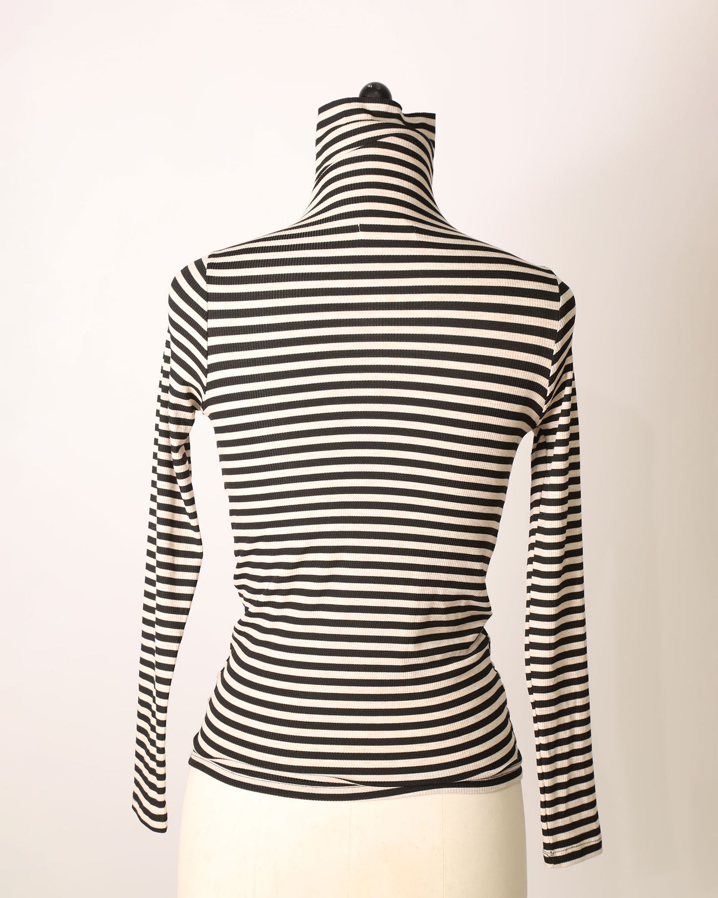 Long Sleeve Striped Turtleneck Top - Black/White